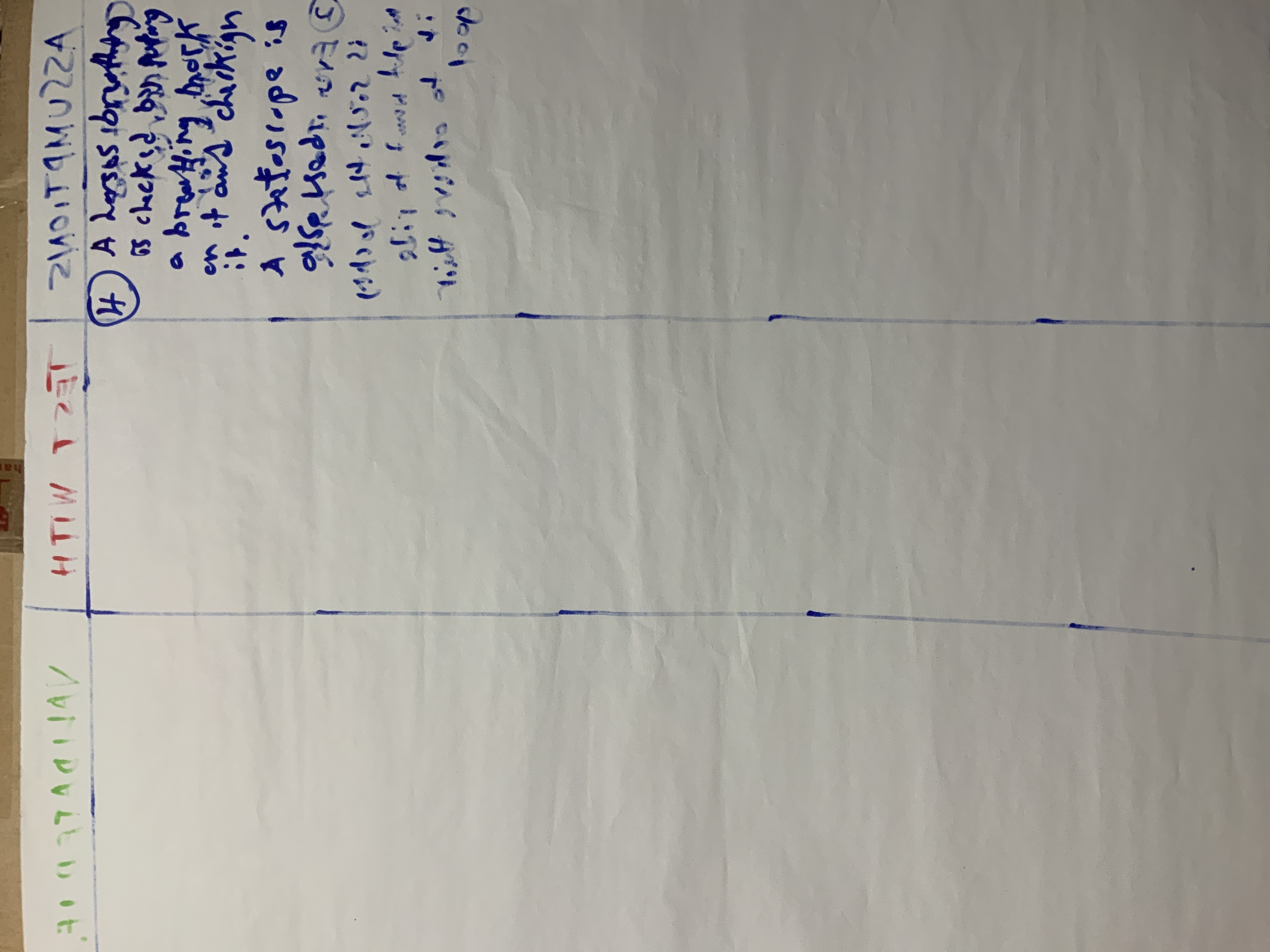 Abdul's portolio project tittled: N9, a Fitbit for Horses. image of  assumptions typed on paper.