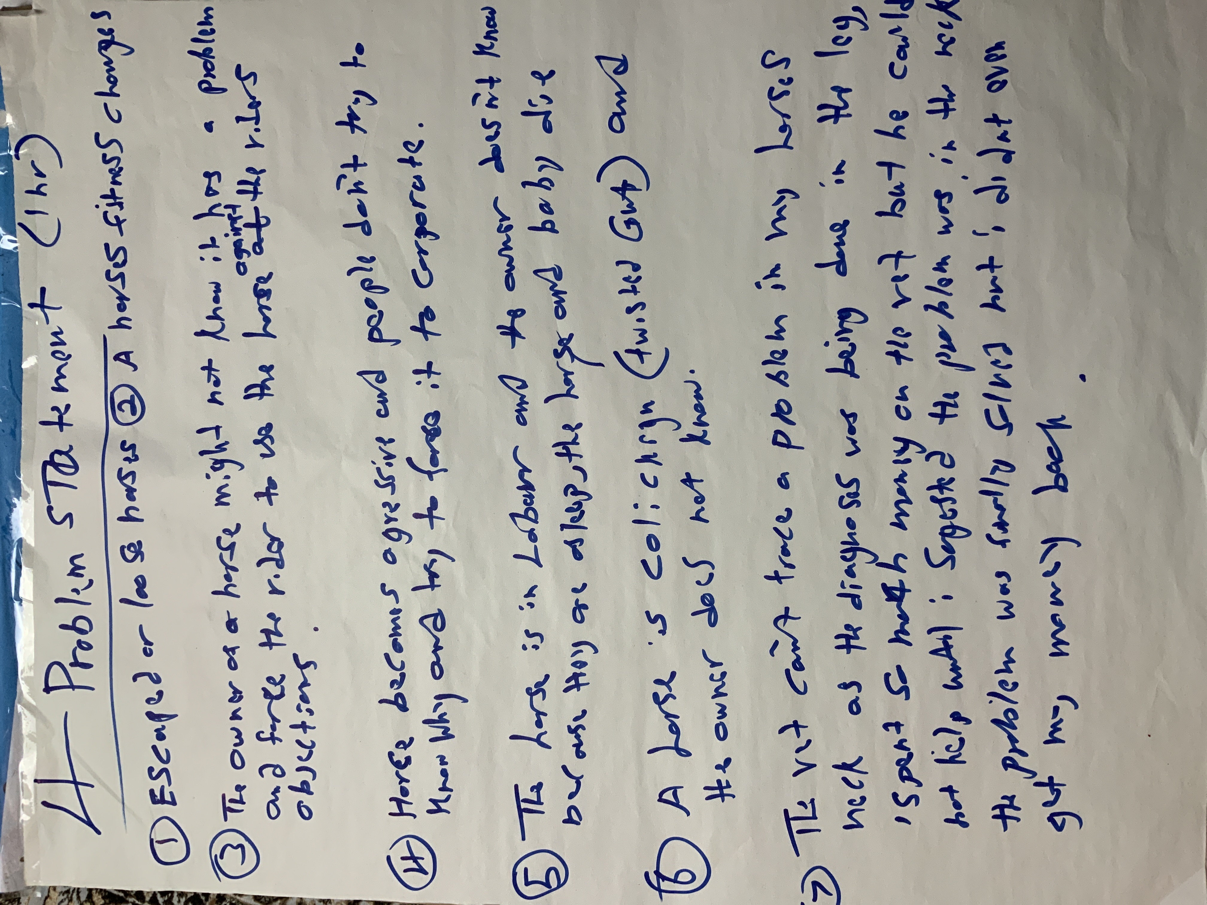 Abdul's portolio project tittled: N9, a Fitbit for Horses. image of written problem statement on paper.