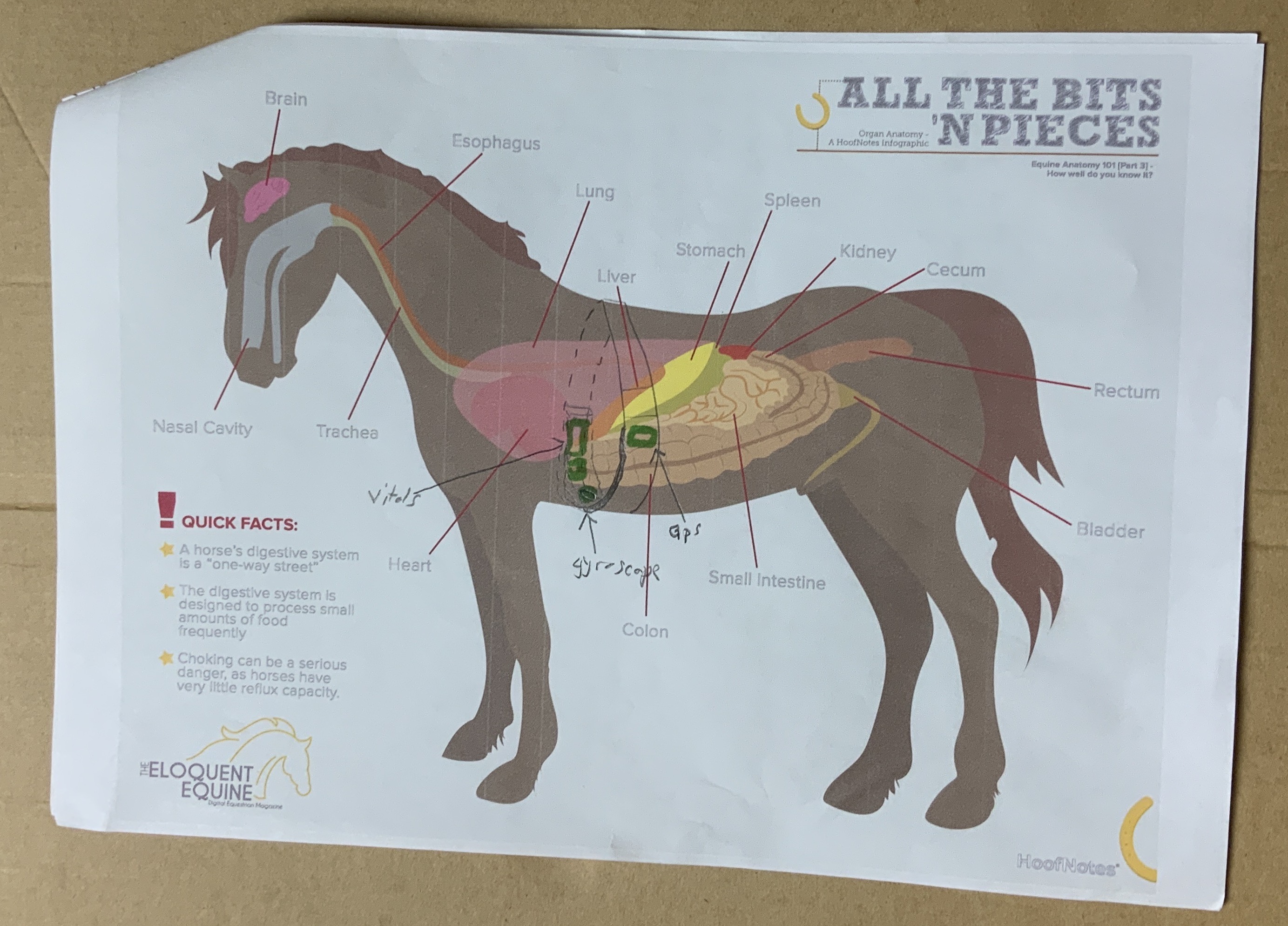 Abdul's portolio project tittled: N9, a Fitbit for Horses. image of  prototype on paper.
