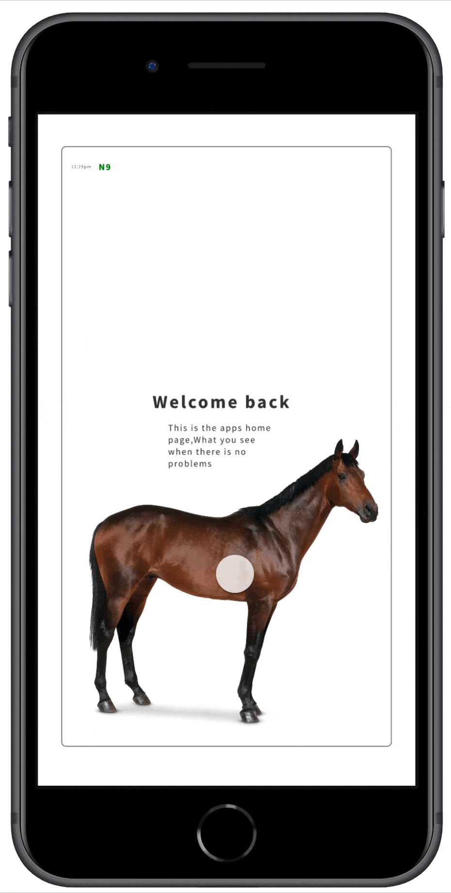 Abdul's portolio project tittled: N9, a Fitbit for Horses. image of the Equin management app.