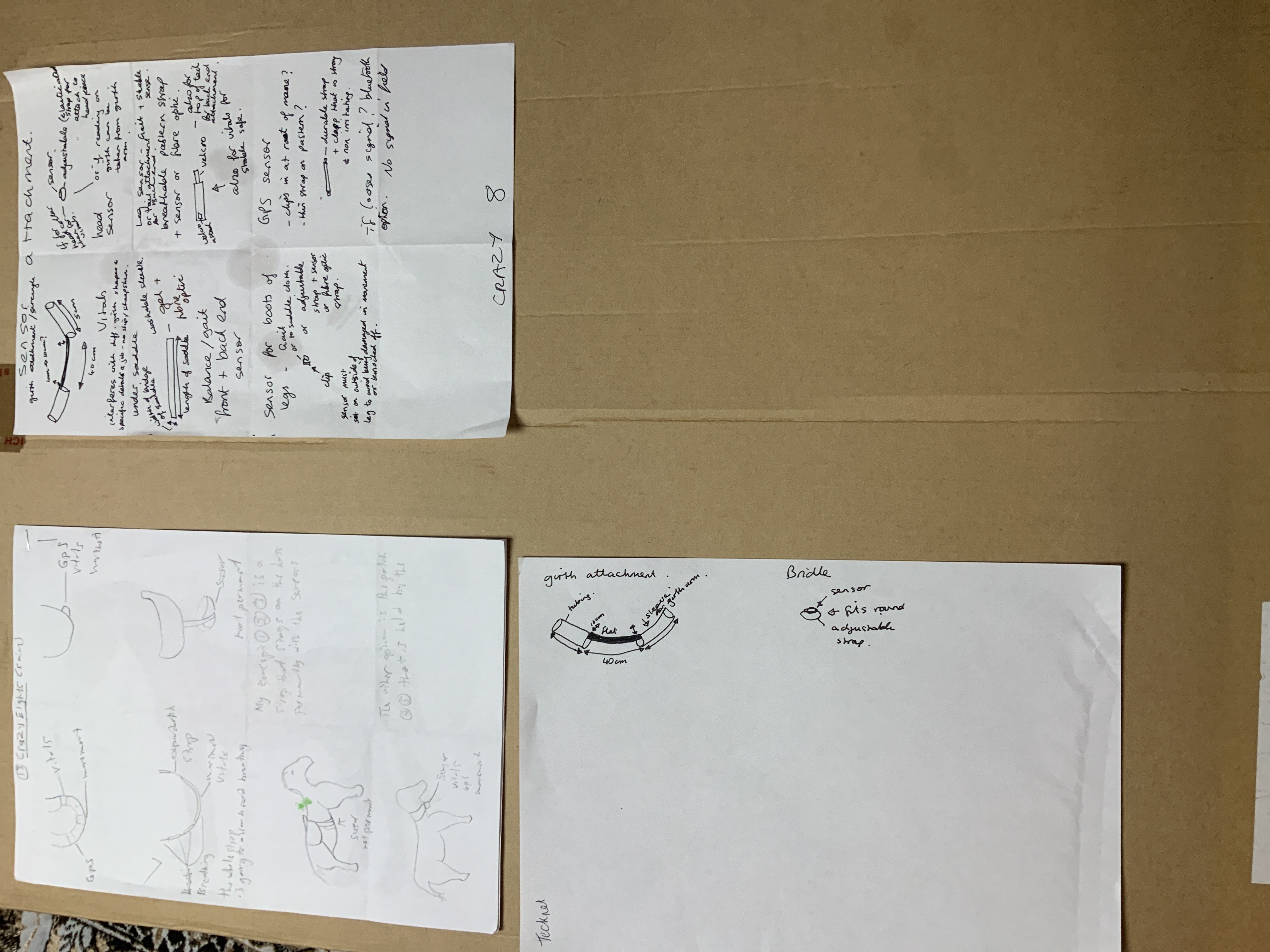 Abdul's portolio project tittled: N9, a Fitbit for Horses. image of crazy 8 typed on paper.