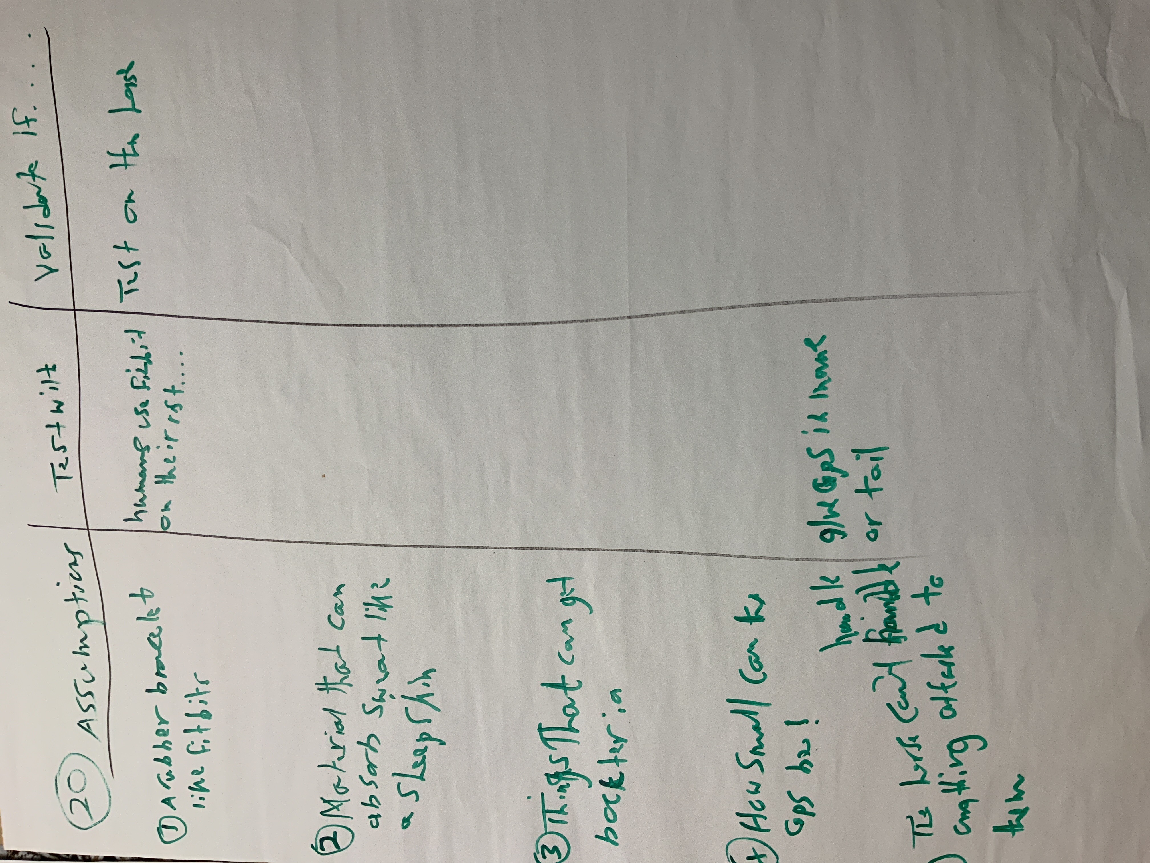 Abdul's portolio project tittled: N9, a Fitbit for Horses. image of  assumptions  typed on paper.