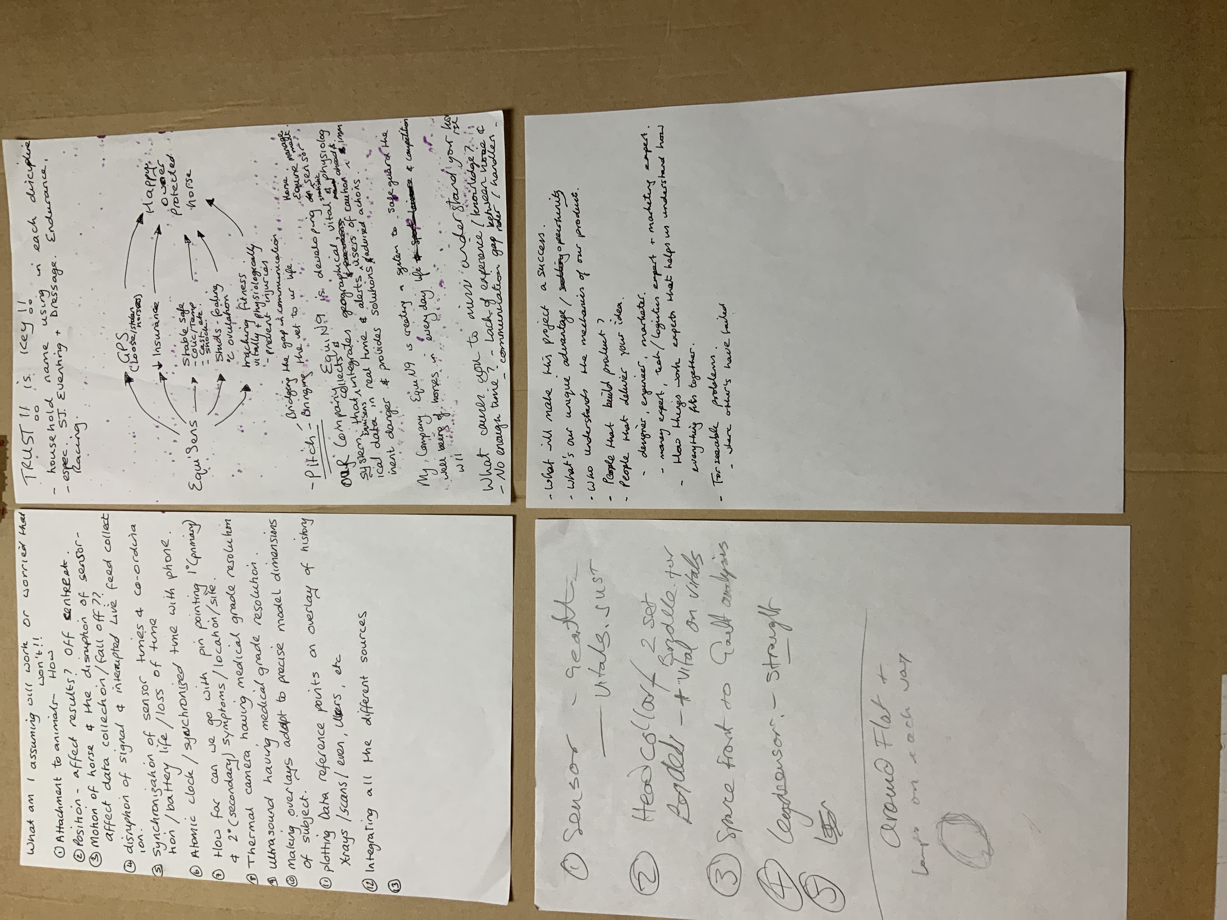 Abdul's portolio project tittled: N9, a Fitbit for Horses. image of written backburner on paper.
