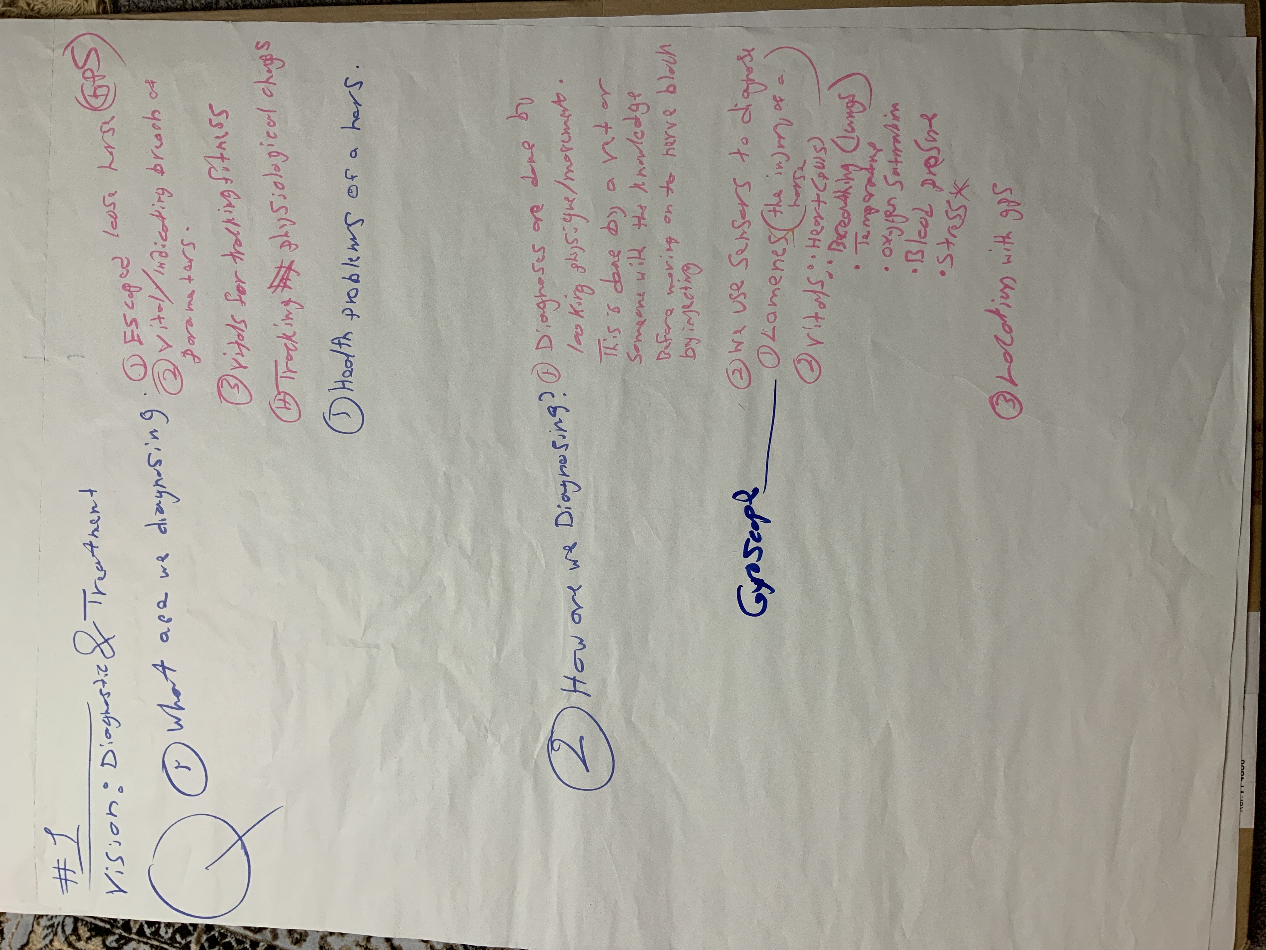 Abdul's portolio project tittled: N9, a Fitbit for Horses. image of storyboard questions typed on paper.